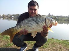 Moara Vlasiei 2 26 - 26 oct.